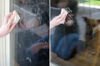 Get rid of wet-nose marks from pets on windows and doors.