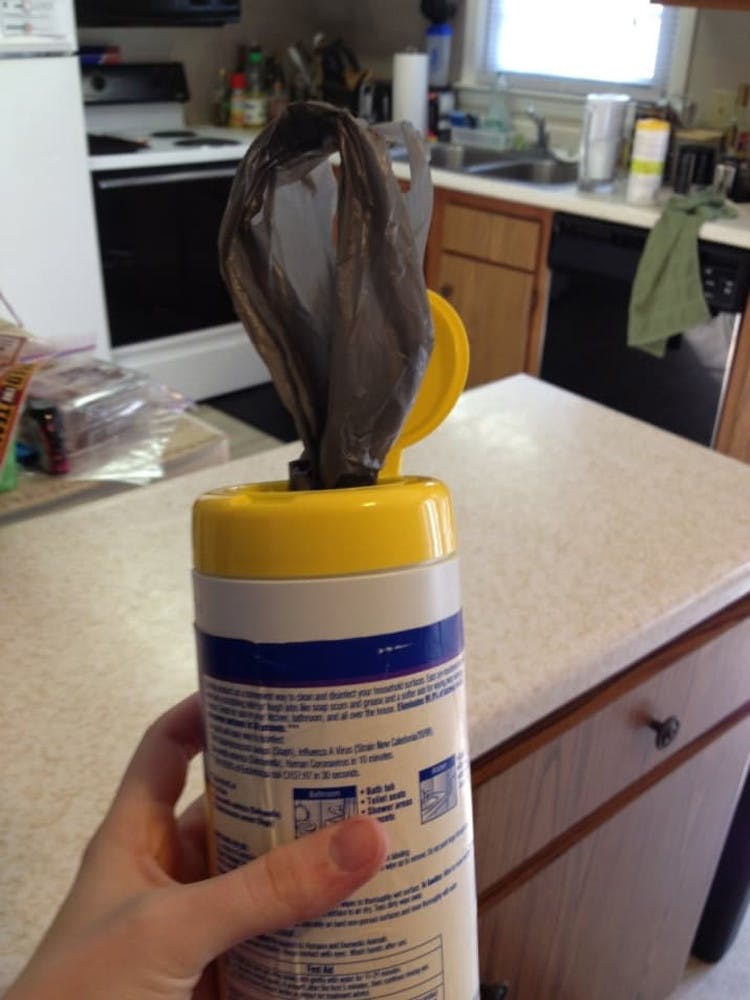 Make a plastic bag dispenser out of an empty wipes container.