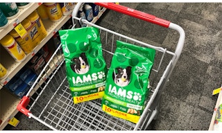 cvs iams dog food 4 9