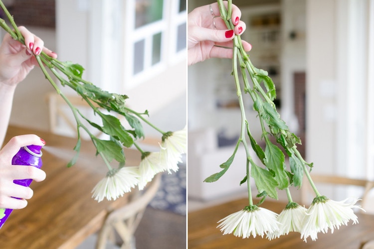 Keep flowers looking fresh longer.