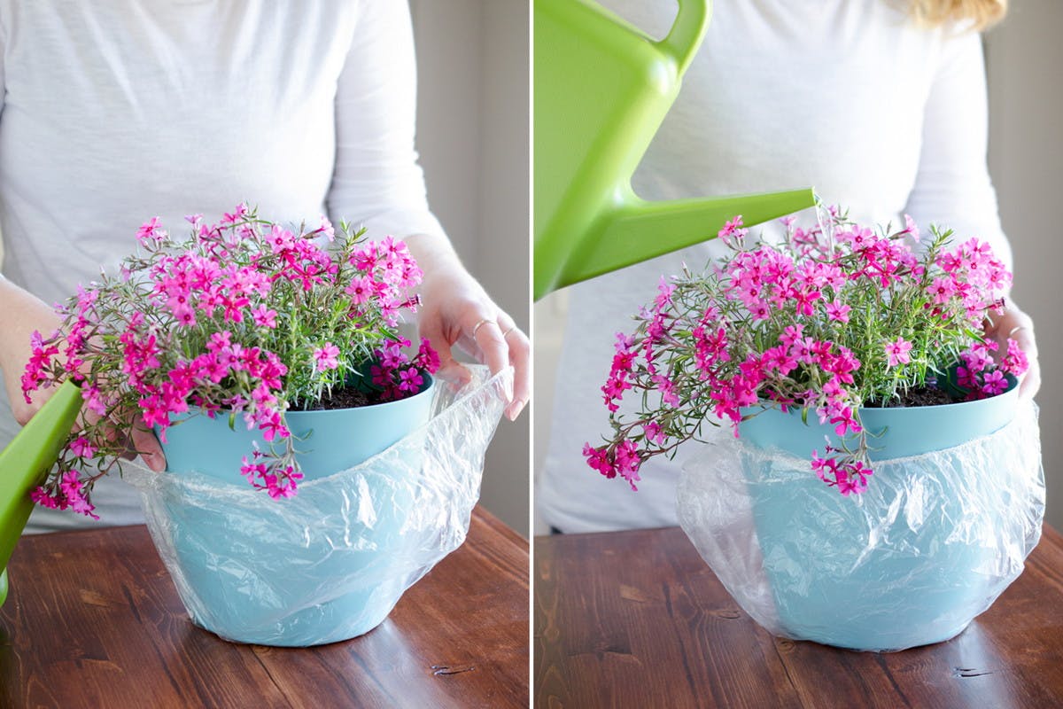 12 Surprising Shower Cap Hacks That Will Make Your Life Easier The Krazy Coupon Lady