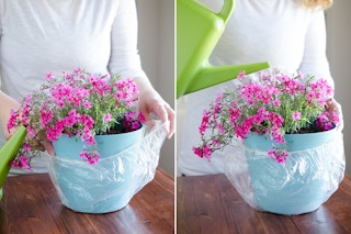 Catch any drips when watering an indoor plant.