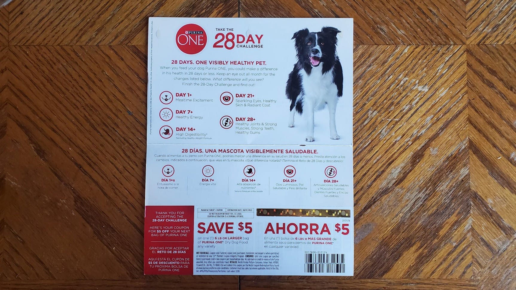 Purina dog food coupons by mail