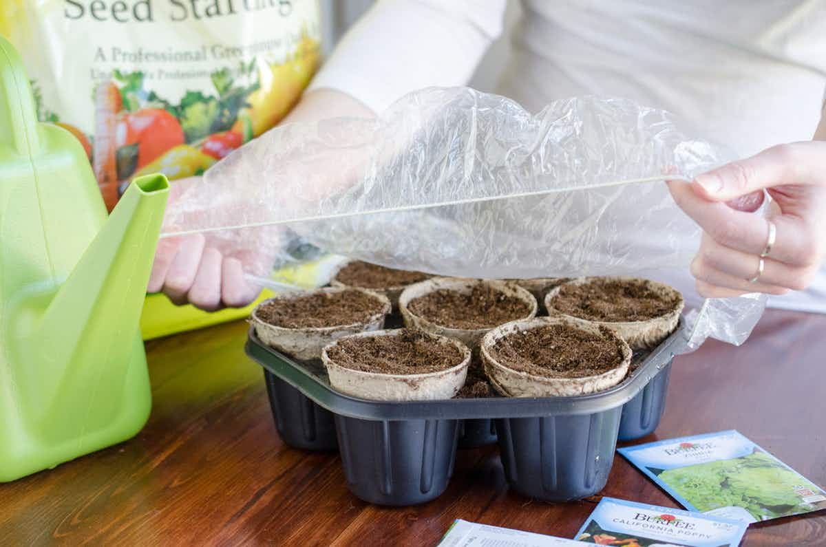 Help seedlings stay warm and moist.