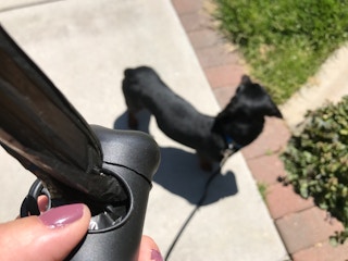 pay off mortgage dogvacay