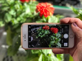 pay off mortgage foap 1