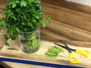 stop wasting money herbs