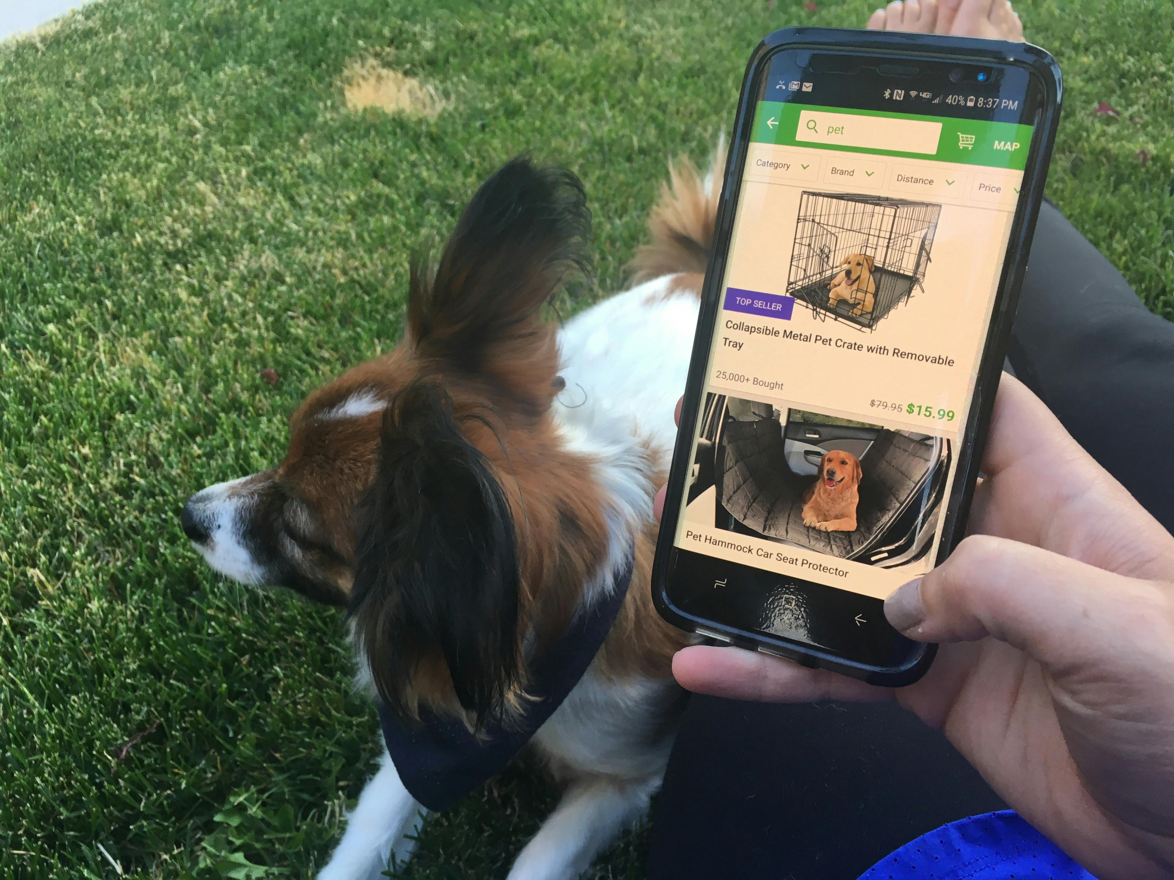 groupon clever dog