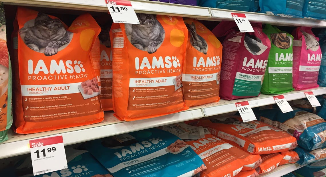 iams cat food target