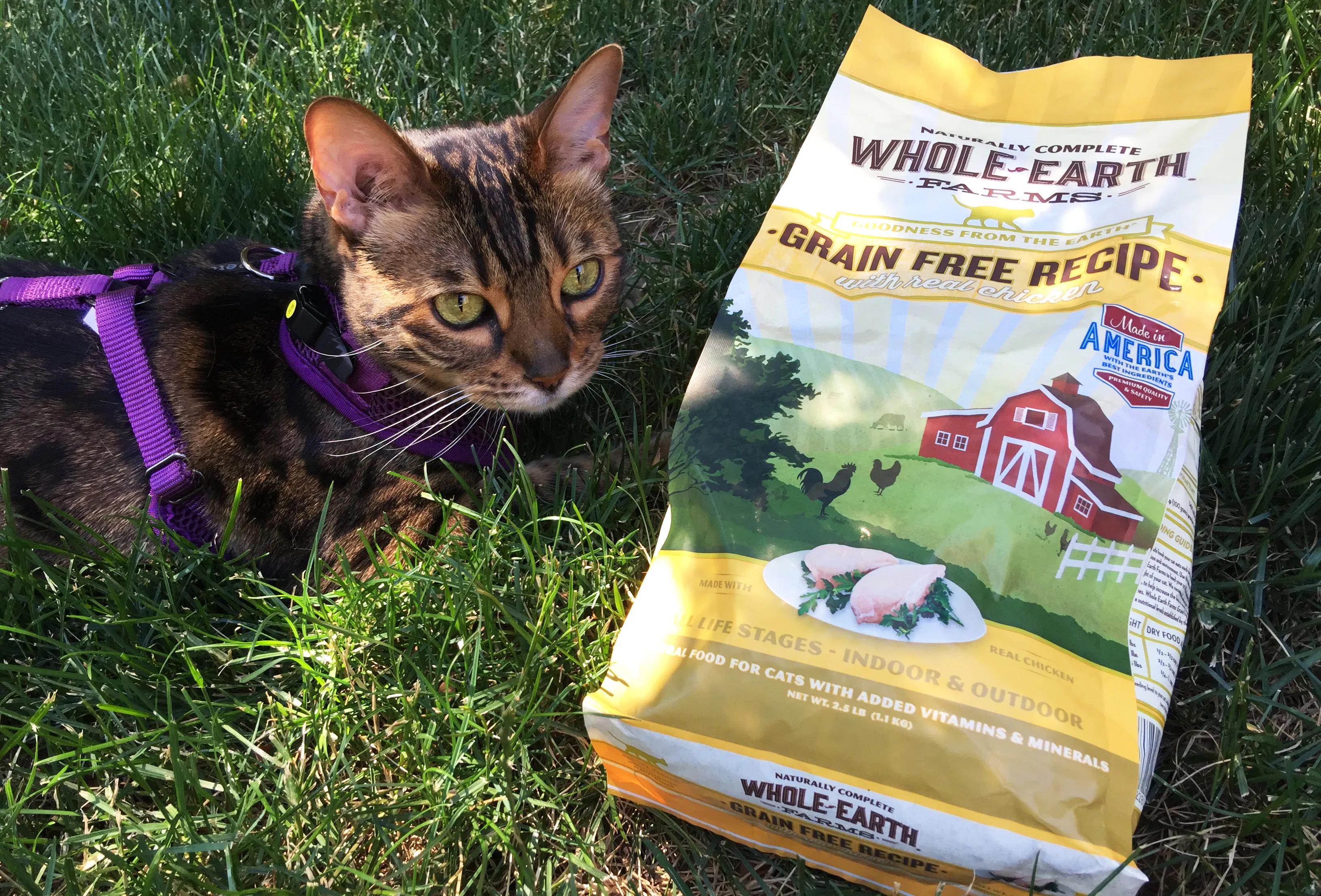 Free Bag Of Whole Earth Farms Cat Food W Any Purchase At Petco The Krazy Coupon Lady