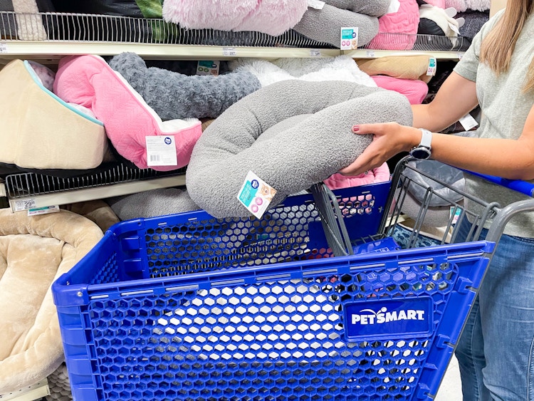 a woman putting a cat bed in a cart
