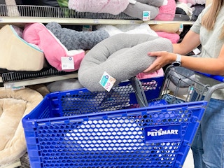 a woman putting a cat bed in a cart