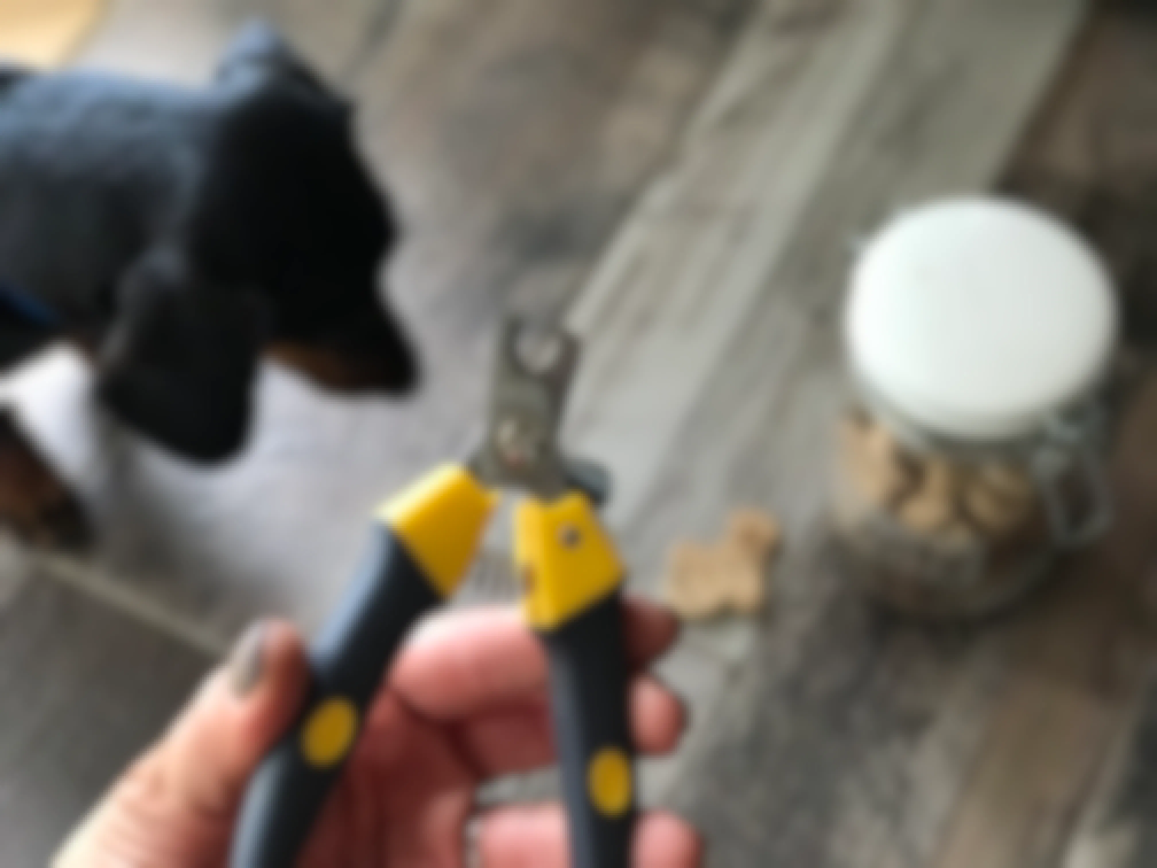 A person's hand holding a dog nail clipper with a dog and a jar of treats on the floor in the background.