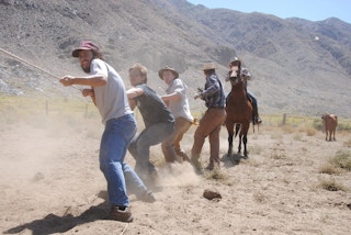 Multiple men pulling a rope with one man on a horse and a cow in the background.