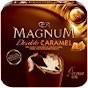Magnum Mini Ice Cream Bars 6 ct, Ibotta Rebate