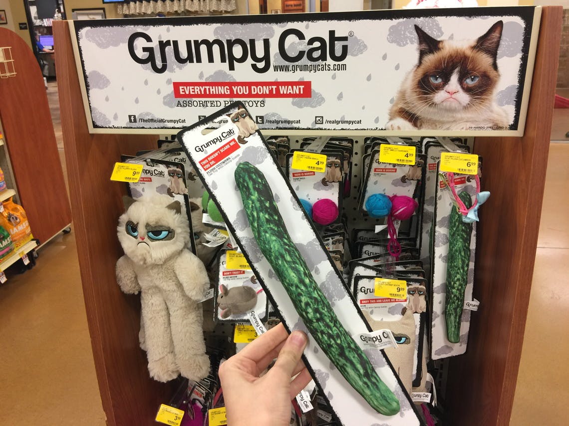 grumpy cat cuddly toy