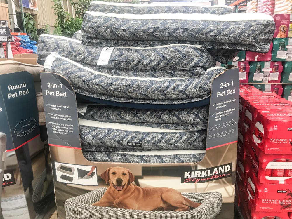 elevated dog bed costco