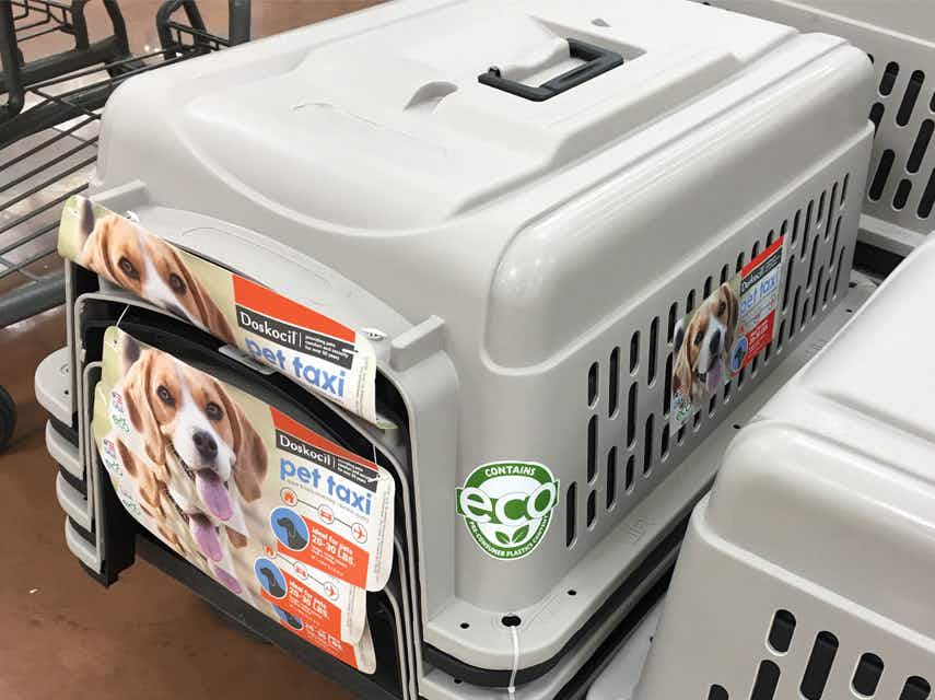 pet taxi kennel