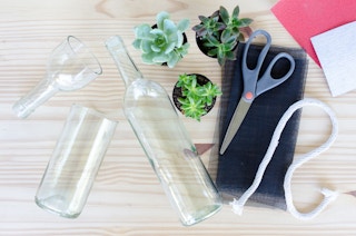 Never kill another plant by making a self-watering planter.