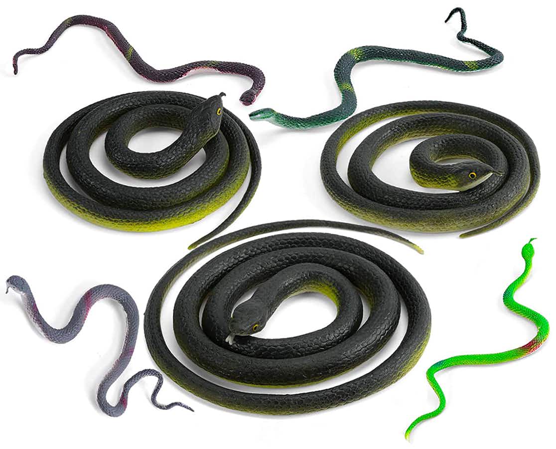 Some different sized rubber snakes on a white background.