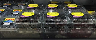 blackberries target e1647615832955