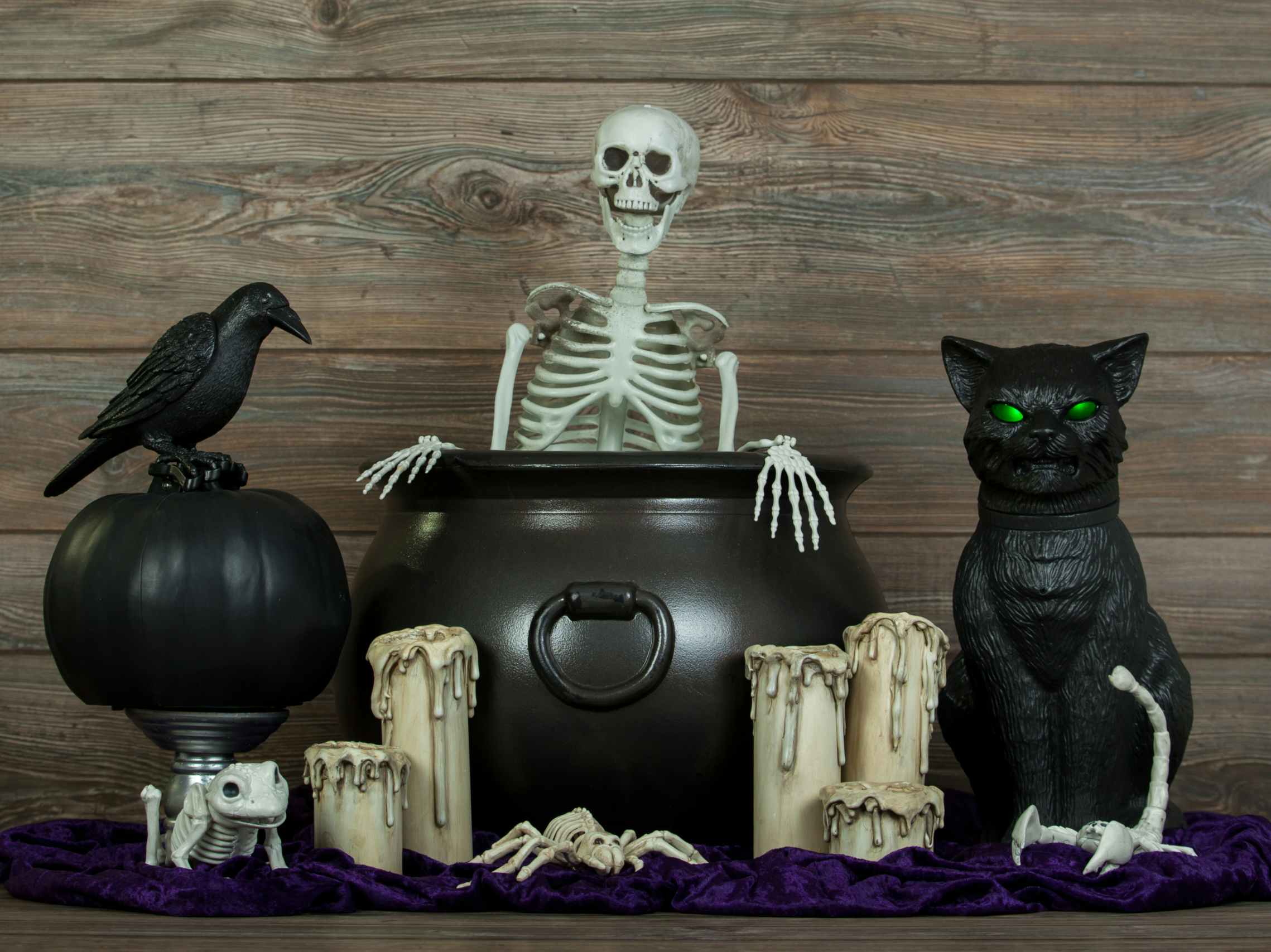 Halloween decorations grouped together on a table including a cauldron, a skeleton, a crow, a black cat, some candles, and more.