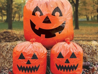 3 orange pumpkin lawn bags 