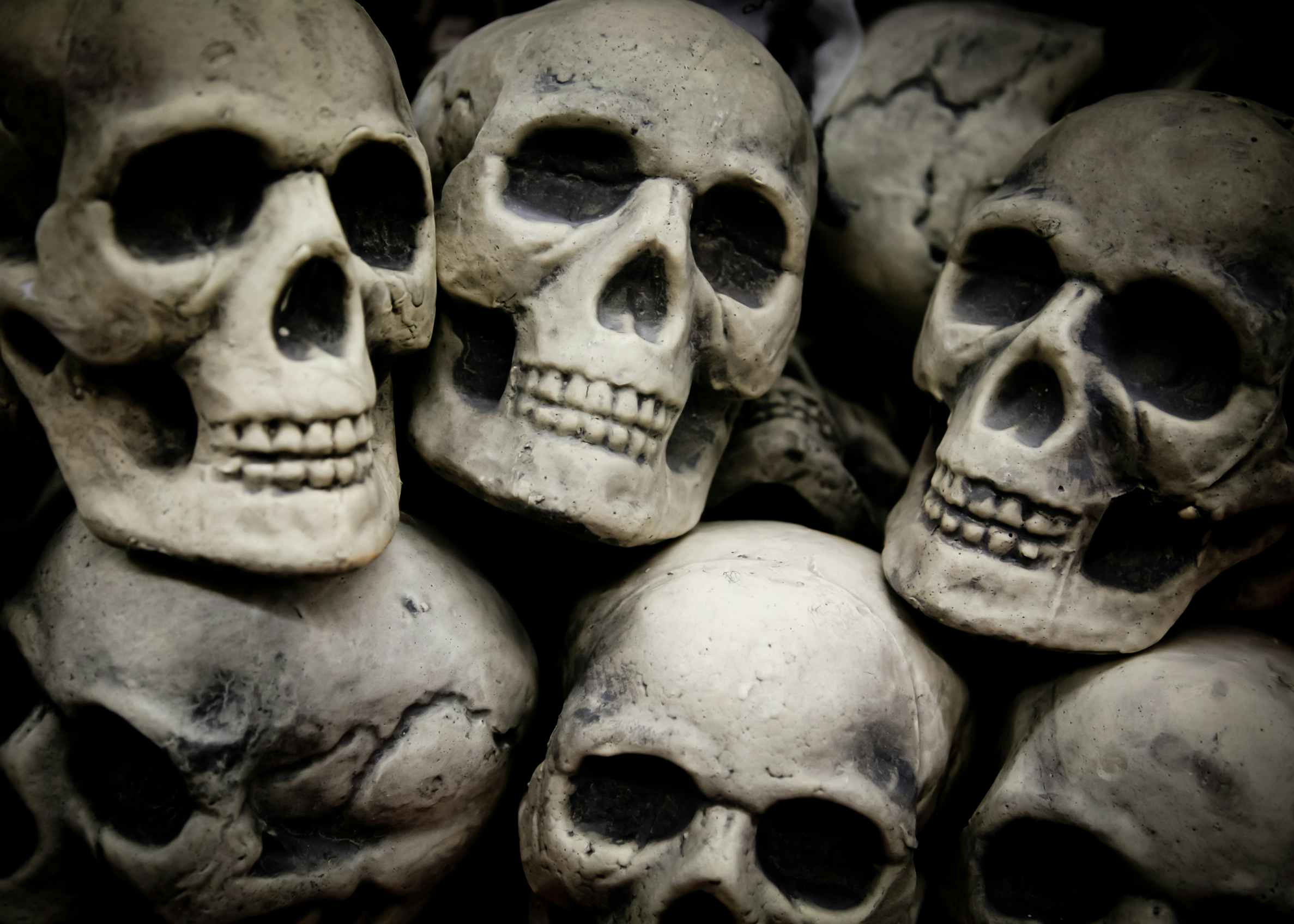 A close up on a pile of decorative skulls.