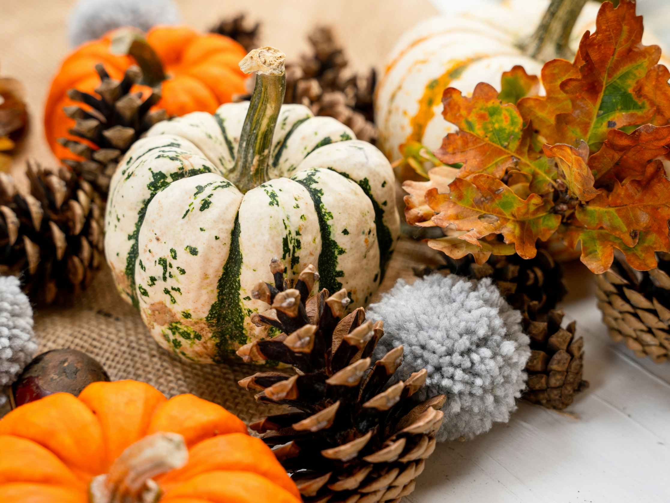 Small pumpkin gourds and pinecones gathered on a table.