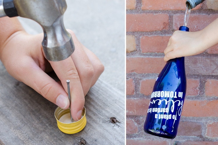 Use a wine bottle to water plants while you're away.