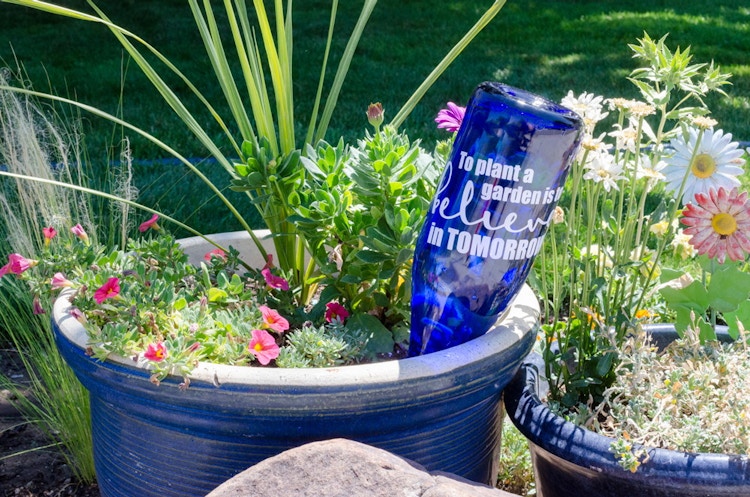 Use a wine bottle to water plants while you're away.