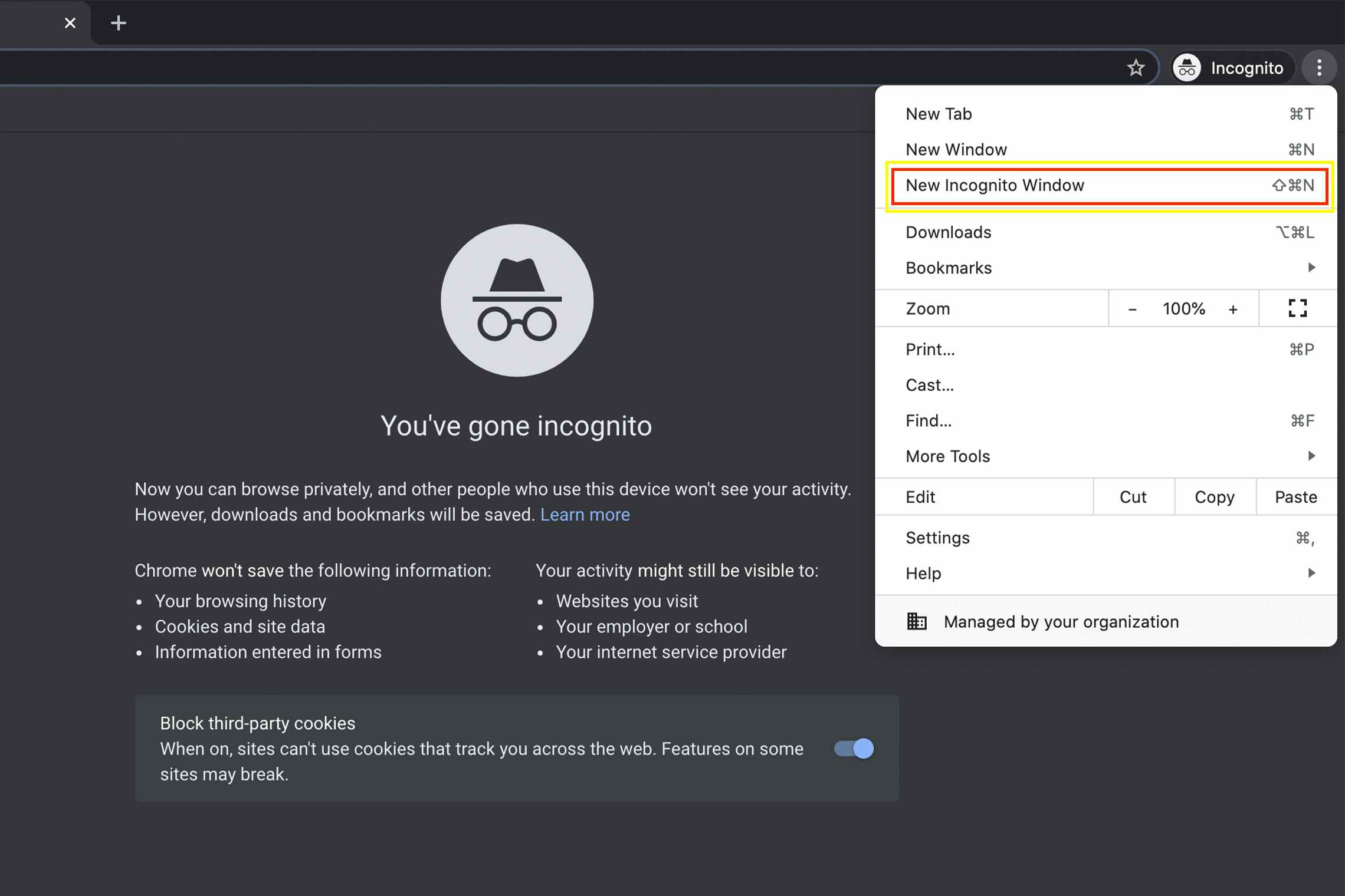 Incognito browser screenshot