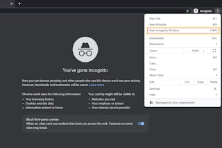 Incognito browser screenshot