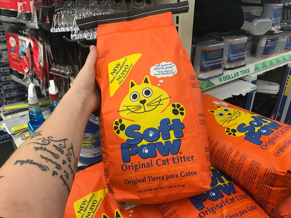 dollar store kitty litter