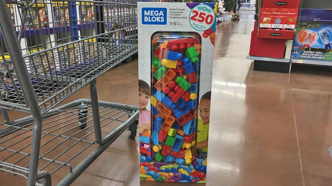 mega bloks 250 piece set