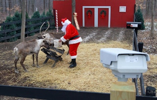 santa freebies mlive reindeer cam