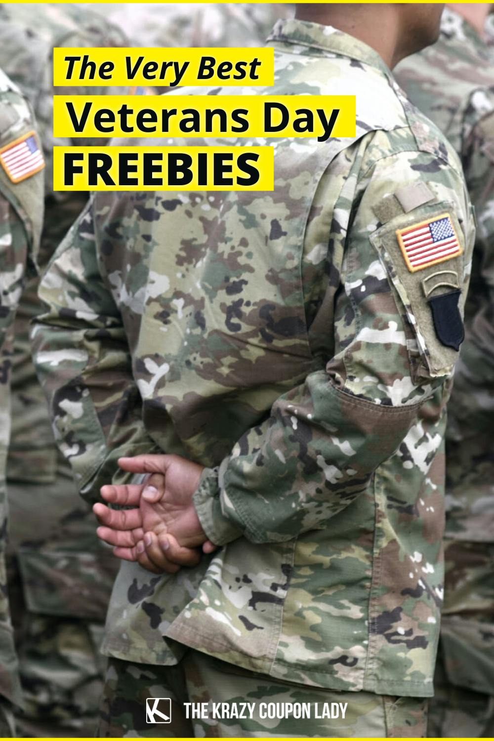 Veterans Day Freebies and Deals for Those Who Serve (2022)