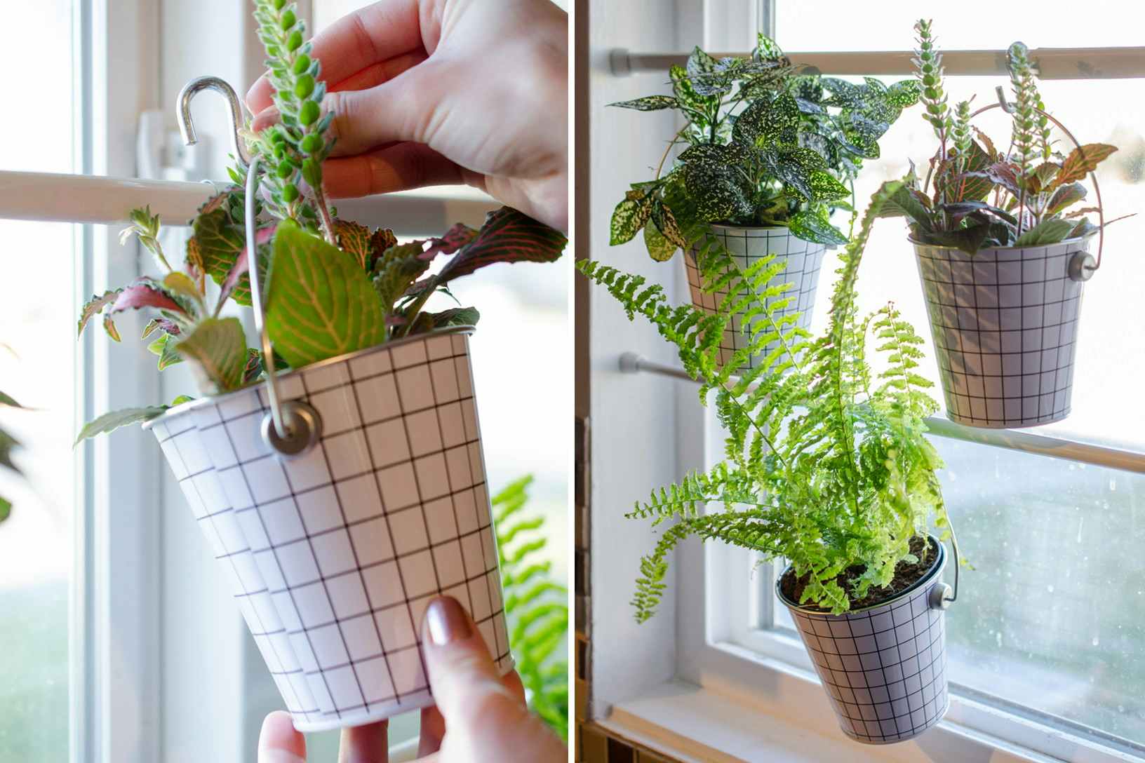 Hang potted plants from tension rods using S-Hooks