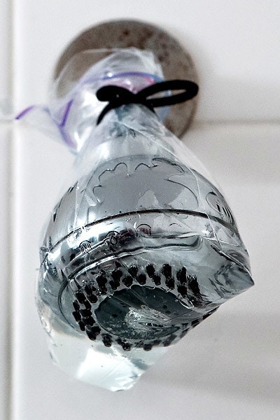 Clean a shower head by attaching a gallon-sized Ziploc bag filled with vinegar to it.