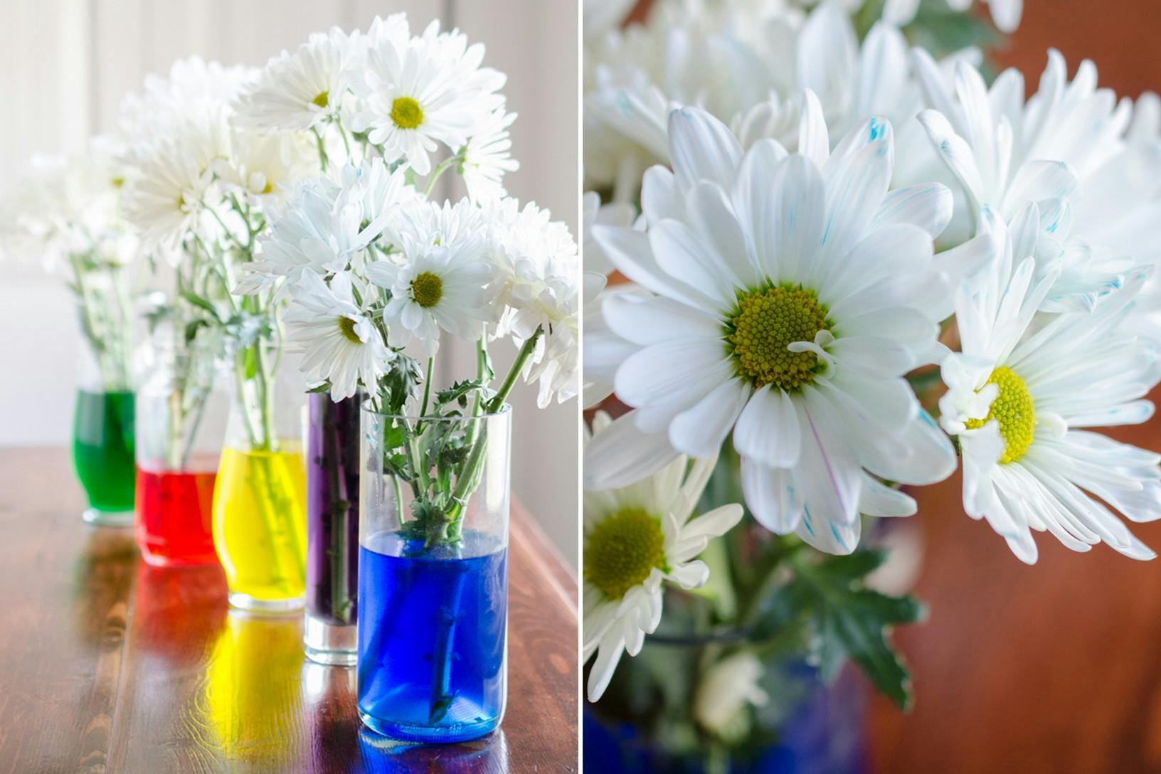 Use food coloring and white flowers for a fun centerpiece and springtime "science" experiment.