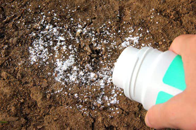 Repel ants by sprinkling baby powder around the outside of your home.
