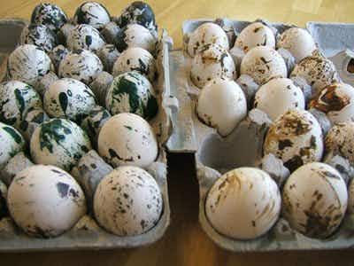 Make marbled Easter eggs using crayon pieces.