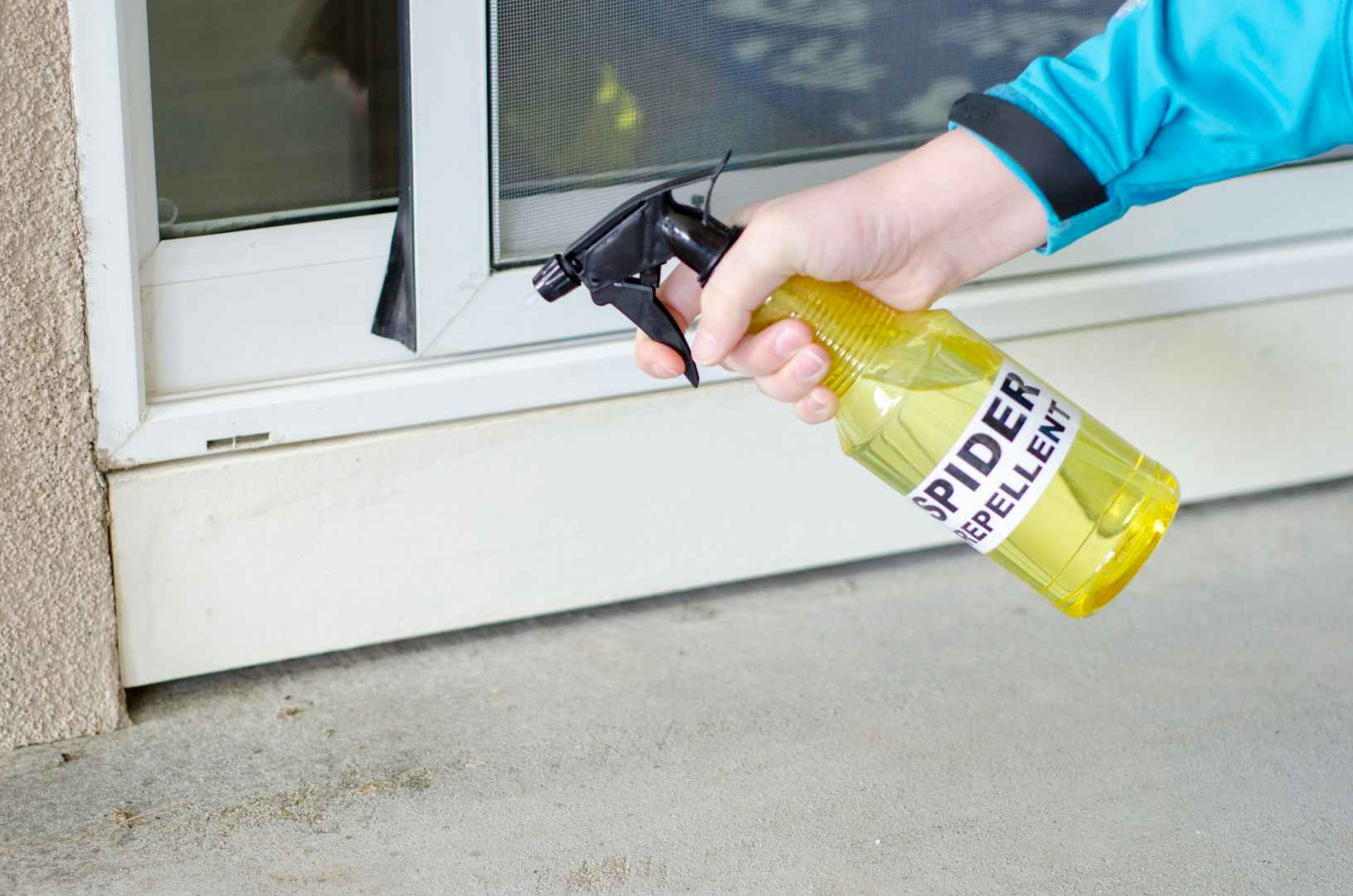 Someone spraying a bottle labeled "Spider Repellent" to the cracks under a doorway