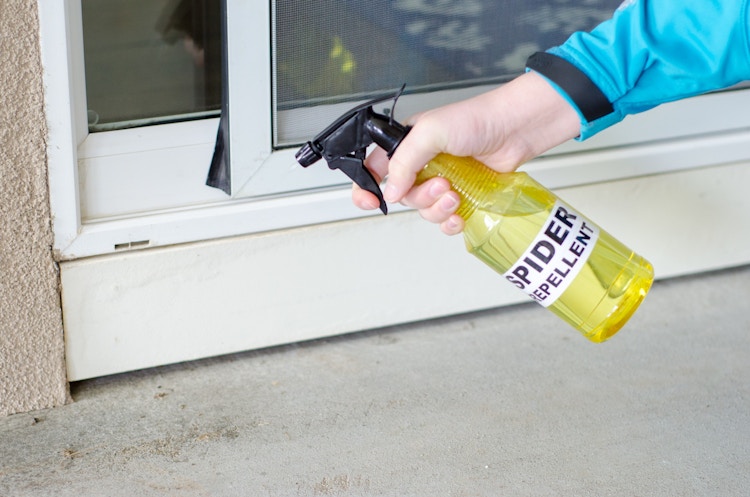Someone spraying a bottle labeled "Spider Repellent" to the cracks under a doorway