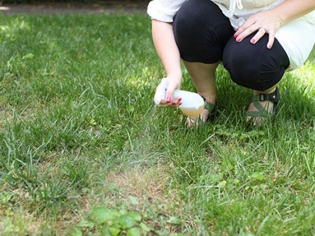 Get rid of brown spots on your lawn with beer.
