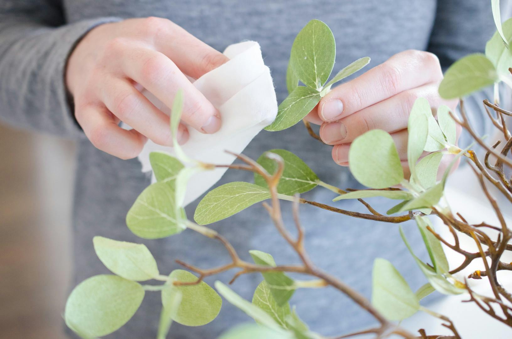 A person using a baby wipe to wipe dust off an artificial plant.