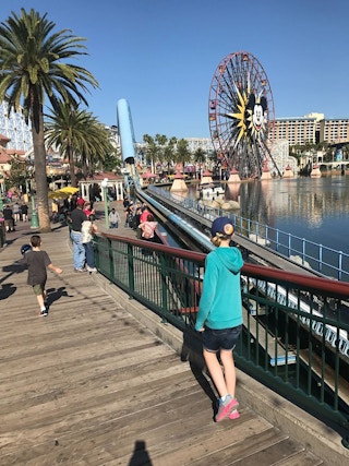 1230623923730420 1524583741