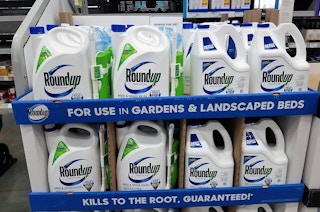 lowes roundup area shot 4418a 1522856271