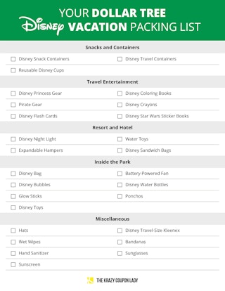 A graphic showing Dollar Tree Disney packing list items