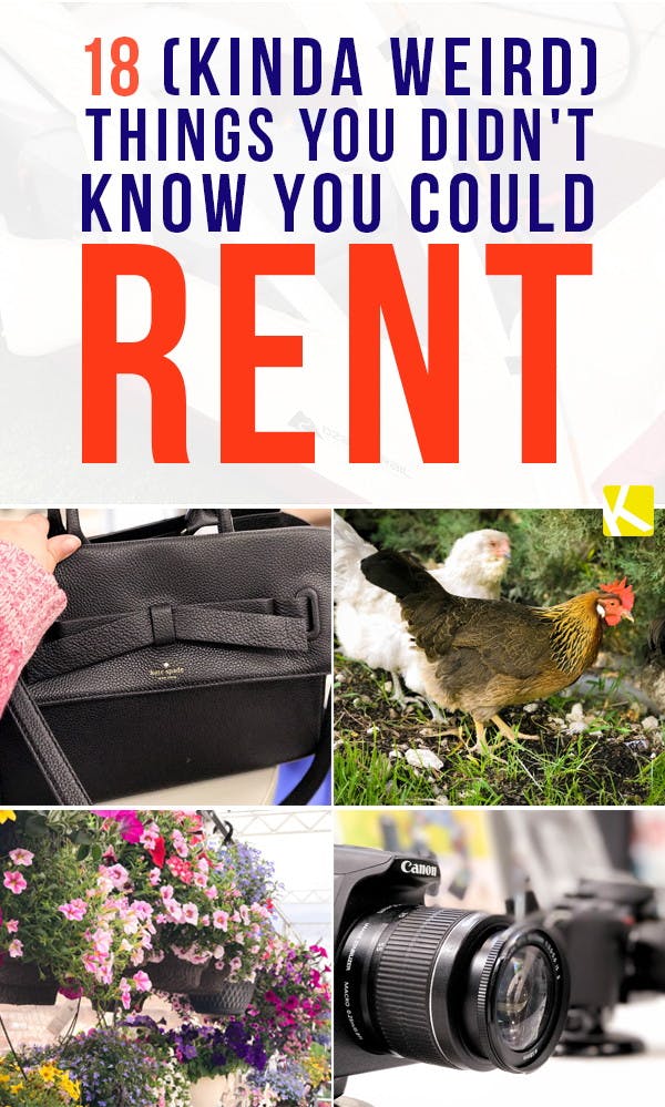 18 (Kinda Weird) Things You Didn't Know You Could Rent